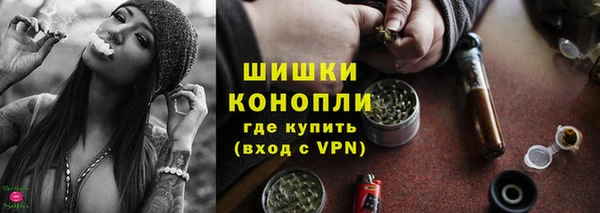 дживик Бронницы