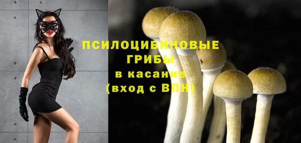 кокаин Бородино