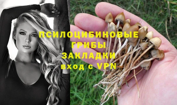 кокаин Бородино