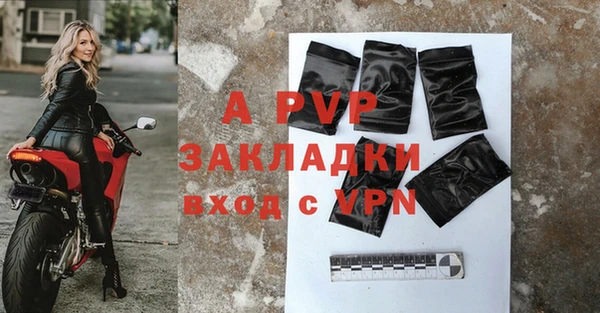 стаф Бугульма