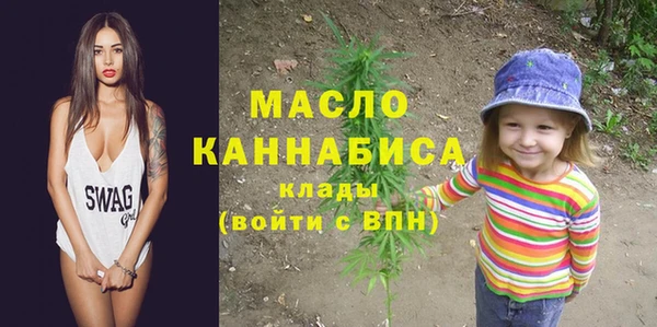 дживик Бронницы