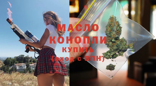 дживик Бронницы