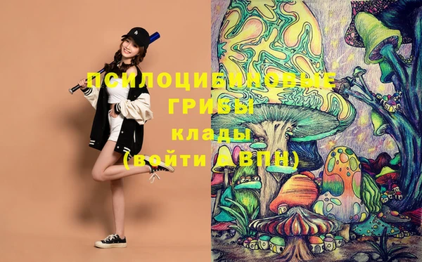 кокаин Бородино