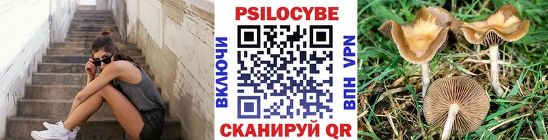 это состав Новосокольники Галлюциногенные грибы Magic Shrooms